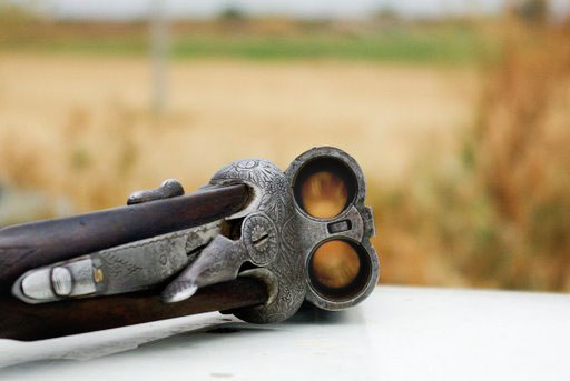 Escopeta de caza. Foto: Javier Rincón Borobia.