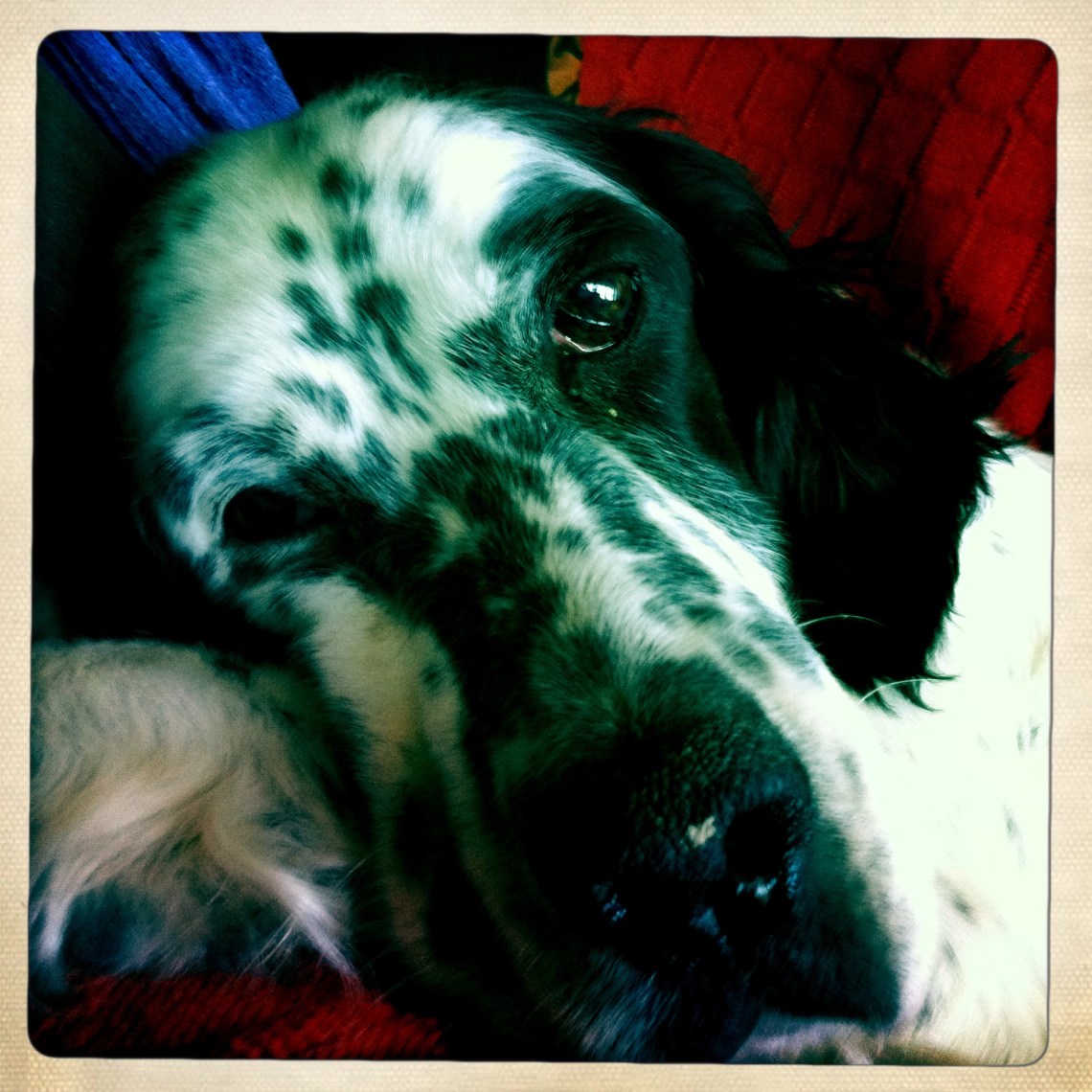 Foto hecha por Sol Rincón Borobia con Iphone e Hipstamatic.